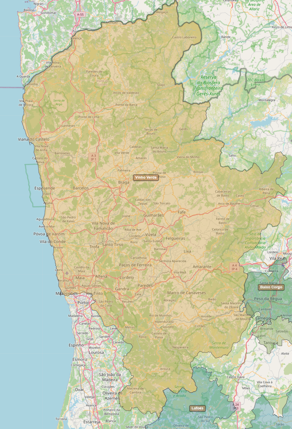 Billede fra regionen Vinho Verde