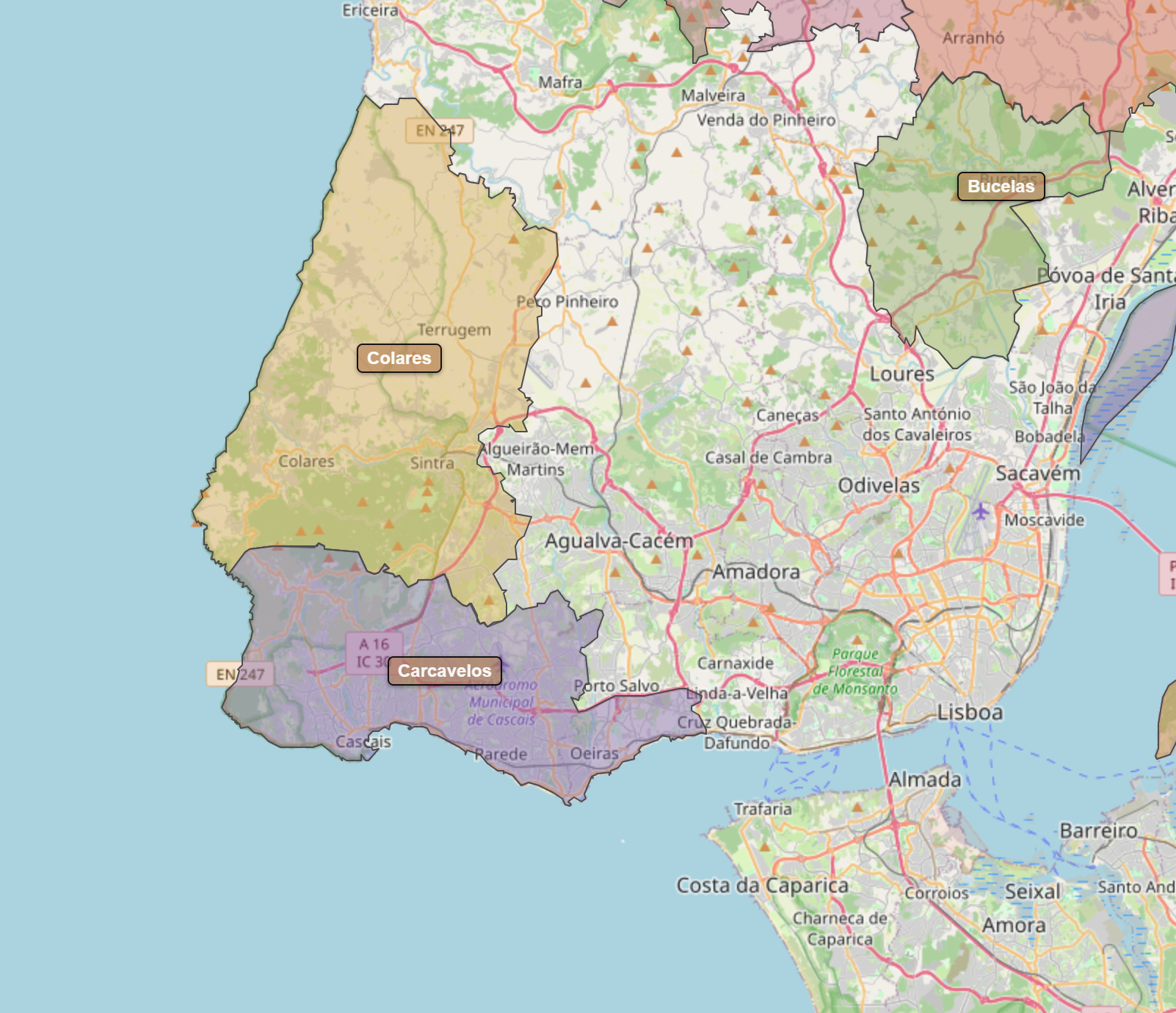 Billede fra regionen Colares