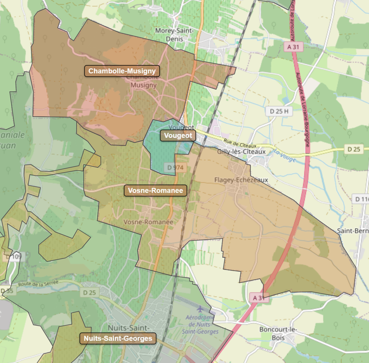 Billede fra regionen Vosne-Romanee AOC/AOP