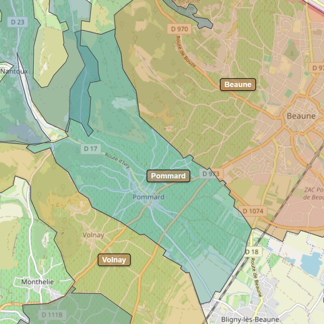 Billede fra regionen Pommard AOC/AOP
