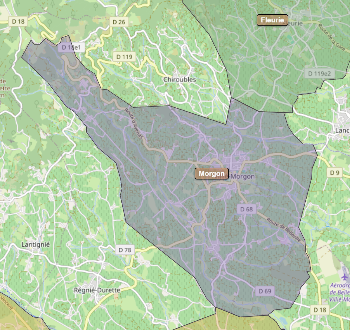 Billede fra regionen Morgon AOC/AOP