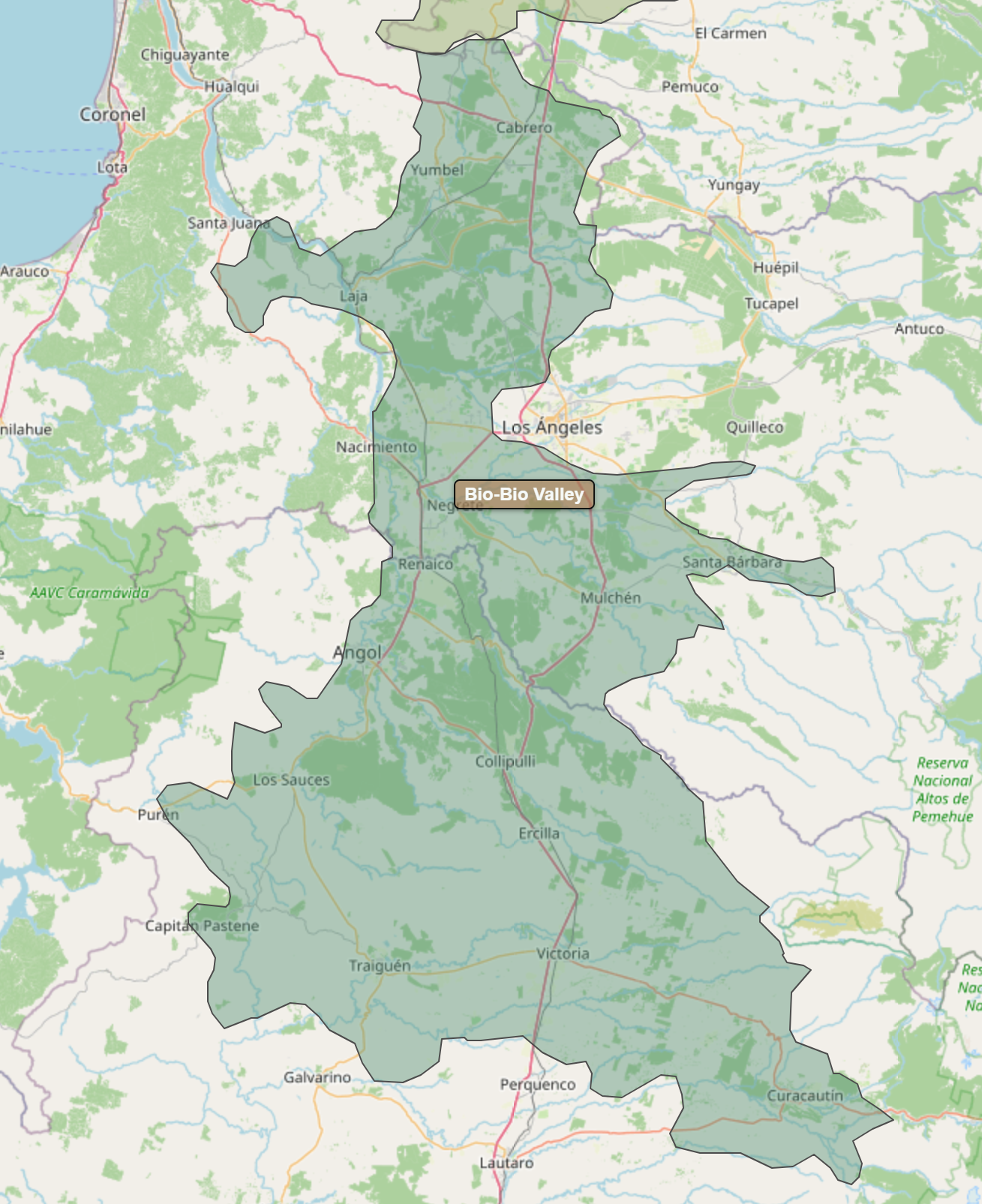 Billede fra regionen Bío-Bío