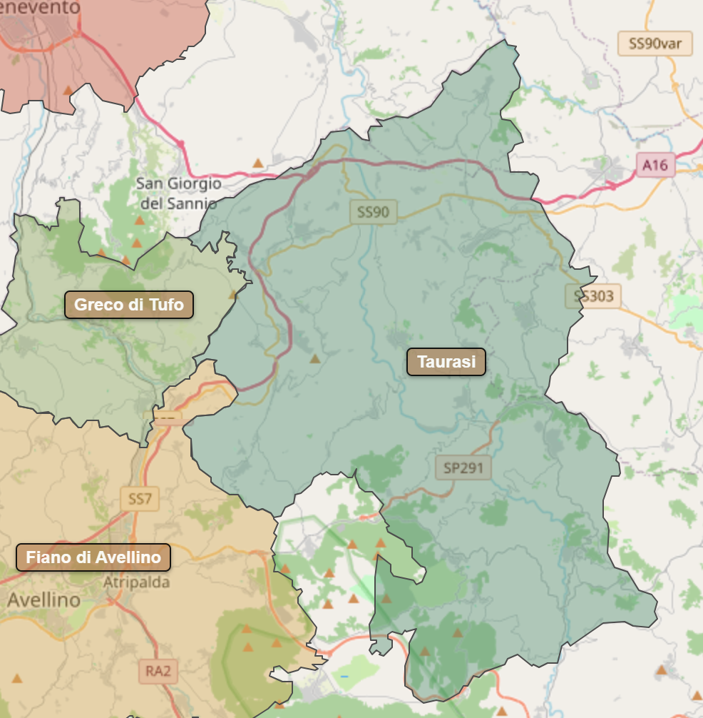 Billede fra regionen Taurasi DOCG